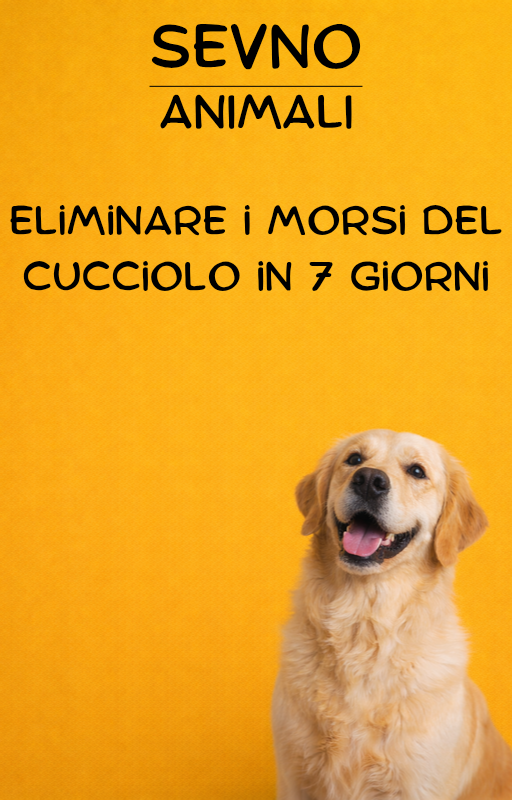 Eliminare i morsi del cucciolo in 7 giorni